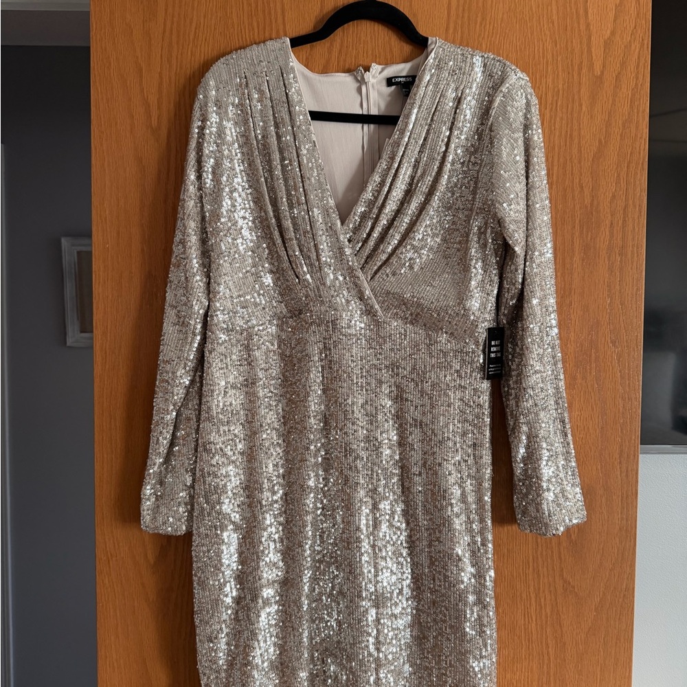 Express Silver Sequin Long Sleeve Dress